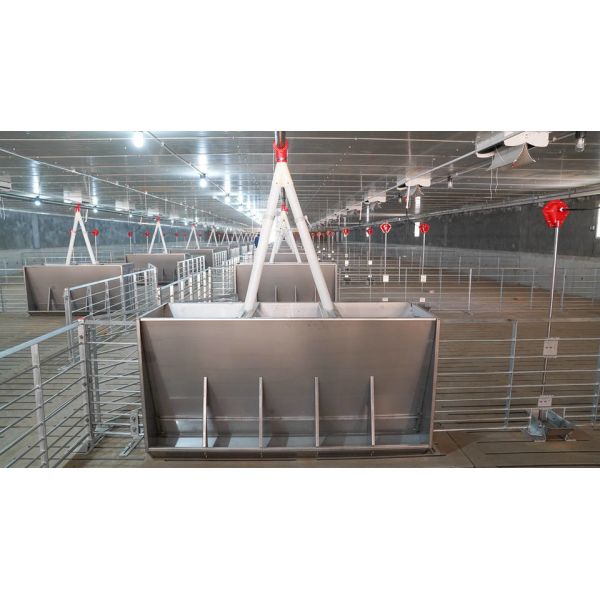 Husbandry Stainless Steel Auto Feeder For Pigs Hog Anti Rust