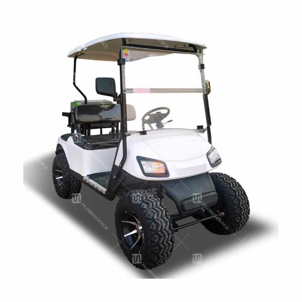 Small White Electric 2 Seater Golf Cart Customization