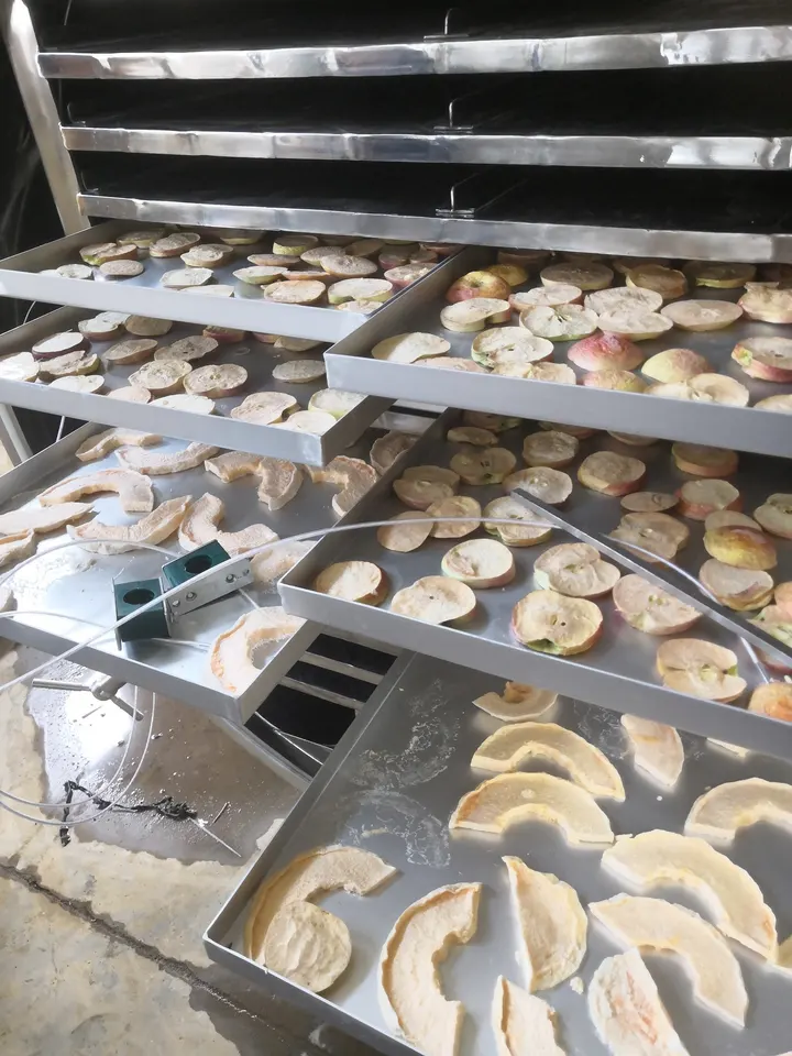 Фармацевтический суша блок 25-150℃ с источником газового нагрева электричества пара