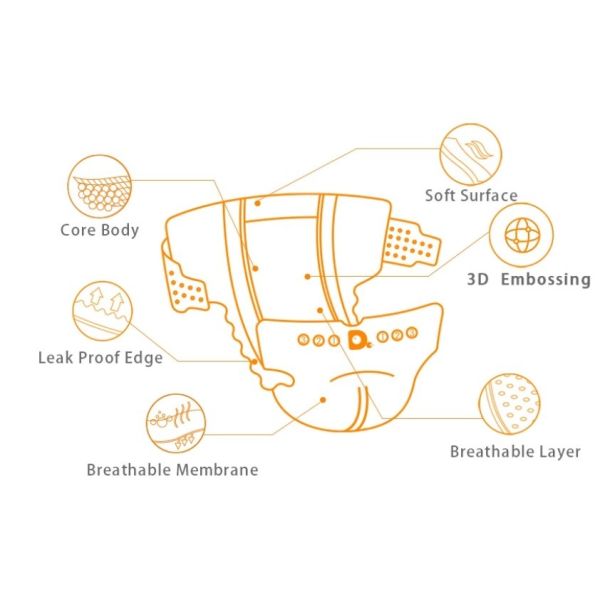 Freedom Cotton Clothlike / PE Film  8 Hours Baby Dry Diapers