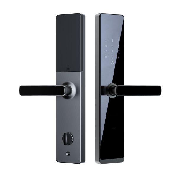 Home Security Tuya Smart Fingerprint & Key Lock with WiFi for Home System