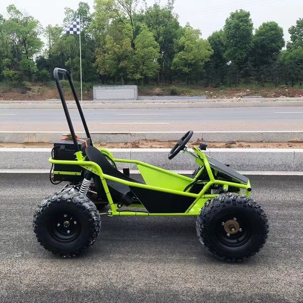 Amusement Park Rental Golf Buggy Cart with 1000W Brushless Motor and EEC Certification