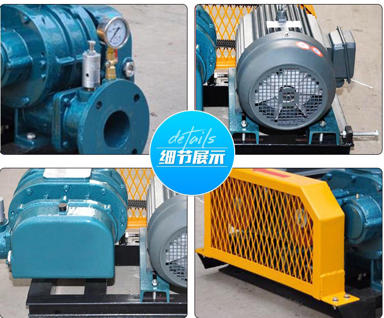 АББ Моторный Тип Трех Листьев Корневой Детройт для Рыбных Озер Поставка 0,75-400кВт Высокий стандарт