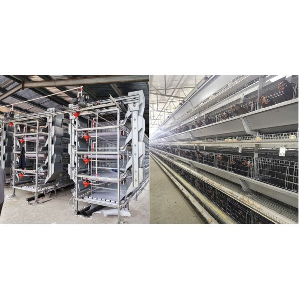 автоматический материал стали системы 1.2mm HDG фидеров пьяницы ниппели воды цыпленка 8.67m/Min