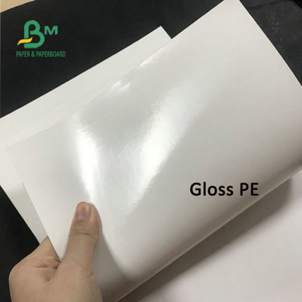 15g + 200g PE - Clay Coated Carton kraft Packing Paper Sheets 70 * 100cm