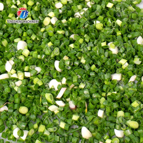 Машина Slicer гриба 600-1000KG/H 220V промышленная коммерчески (TS-Q115)