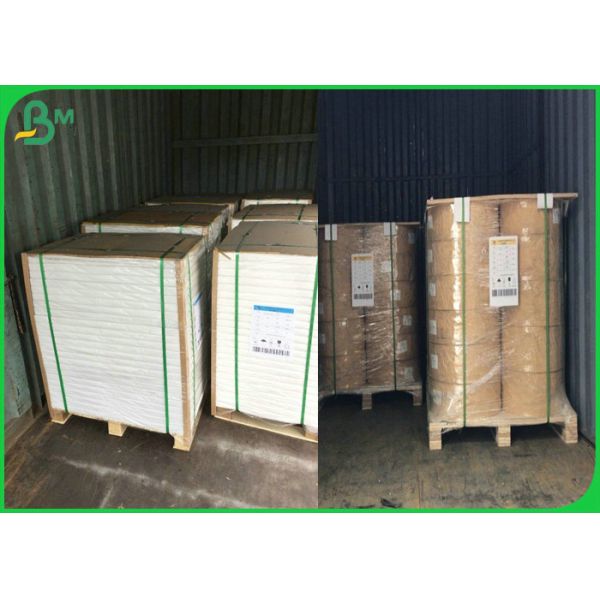 High Density 250g +10g One Side PE Coated Kraft Paper In Reel
