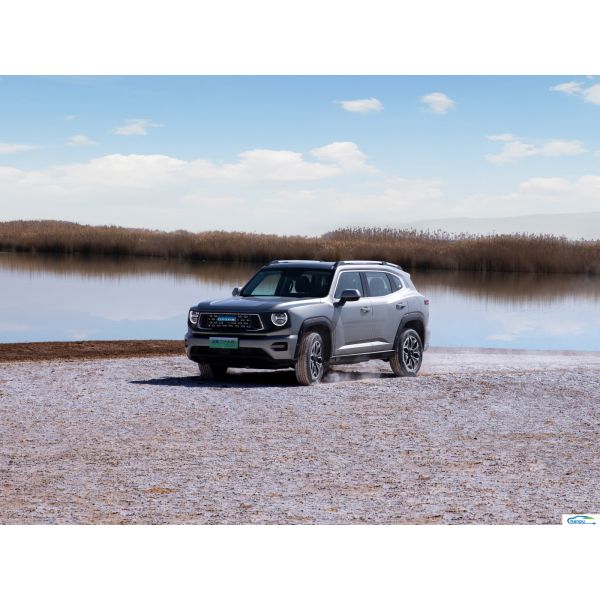 2024 Haval Dargo II PHEV Hybrid 's Best Medium SUV for Used Electric EV Ride-On Cars
