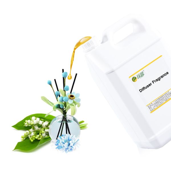 Домашнее украшение Диффузор для дома