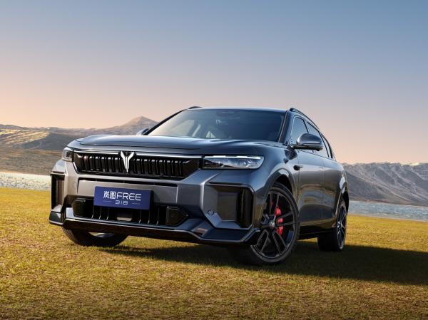 2025 Dongfeng EV Car Voyah FREE 318 RR Tour Version 5 Door 5 Seater SUV 1458km