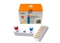 CMV jogo de Kit Quantitative Canine Dog Test da detecção do Pcr do Mycoplasma do canino