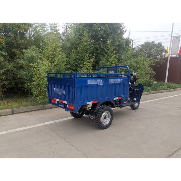 Egypr 3 Wheel Gasoline Motorcycle 200CC Cargo Tricycle