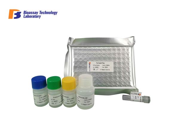 Human Strong Sensitivity and Specificity Alkaline Phosphatase ALP ELISA Kit
