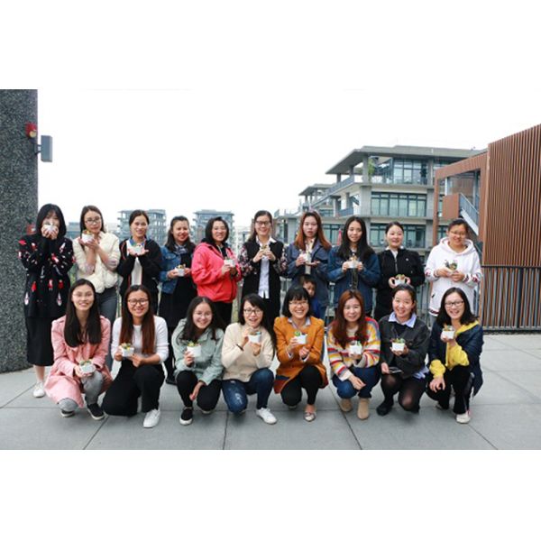 Socreat Electronics Technology Limited