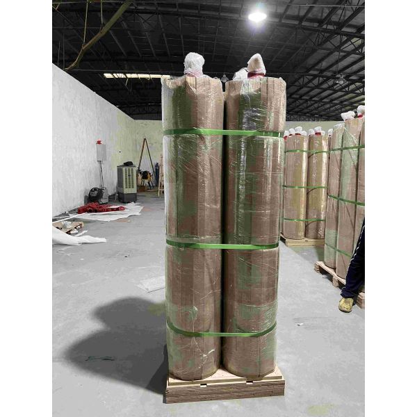 70Ltr Carbon Dioxide Fire Suppression System DC24V 1.6A