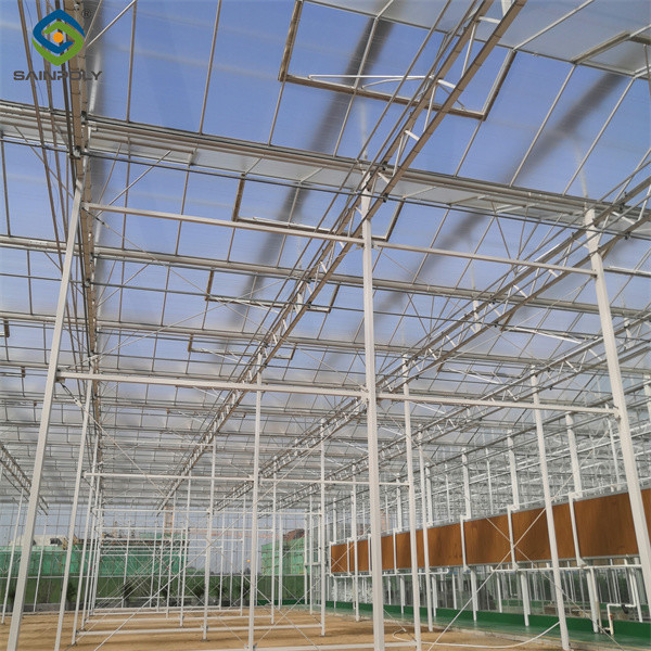 Agricultural Glass Greenhouse Continuous Skeleton PC Board Greenhouse For Vegetables