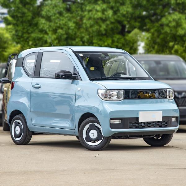 E100 E300 Ev Electric Car