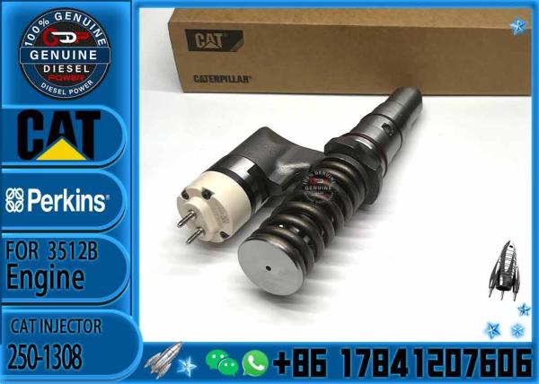 diesel engine parts Common rail injector  250-1304 250-1303 250-1306 250-1308 250-1312 392-6214 250-1314 359-5469