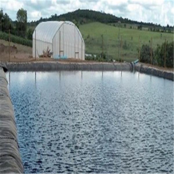1mm 1.5mm HDPE Geomembrane Fish Pond Liner for Fish Farming in Black White Green Blue