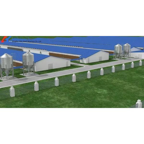 Commercial Building Steel Structure Plant Poultry House For Chicken Shed