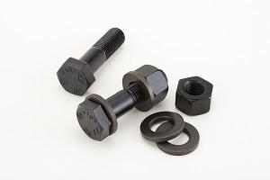 JIS B1186 Carbon steel Hex Head Grade F 8T Steel Nut Bolts