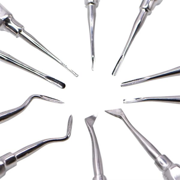 10pcs Dental Elevator Kit Dentist Surgical Tools Stainless Steel Dental Root Elevator
