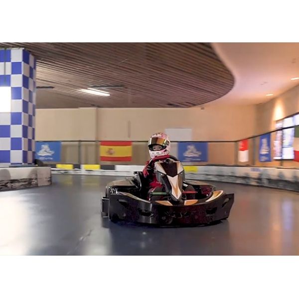 Педаль идет Kart 48v 3500w Макс 75km/H с одиночной гидравлической версией спорта s тарельчатого тормоза