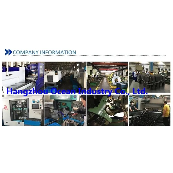 Basic Customization Standard and Special Steel Spur Gear Transmission Pinion Gear