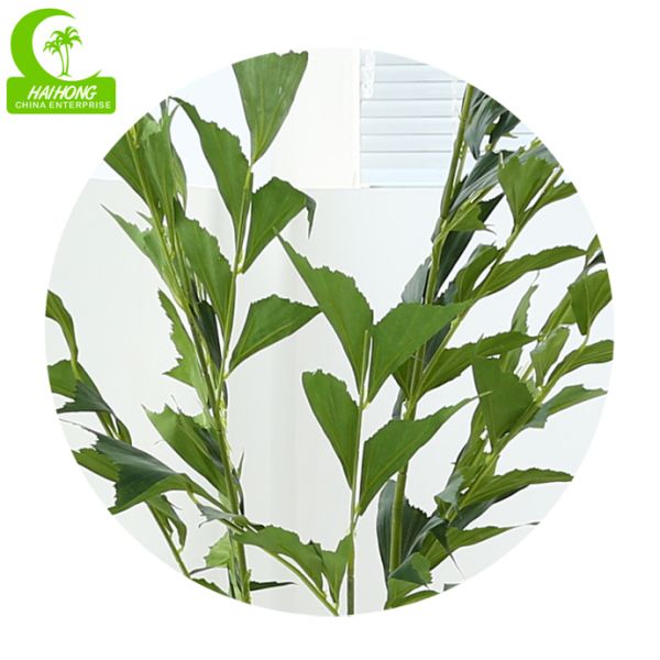 Nenhuma árvore artificial de seda de nutrição