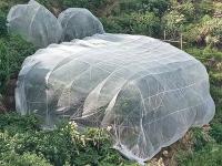 Agricultura de alta densidad Red de insectos 50 gm Capa de plantas Red de 60 mallas Vegetales blancos