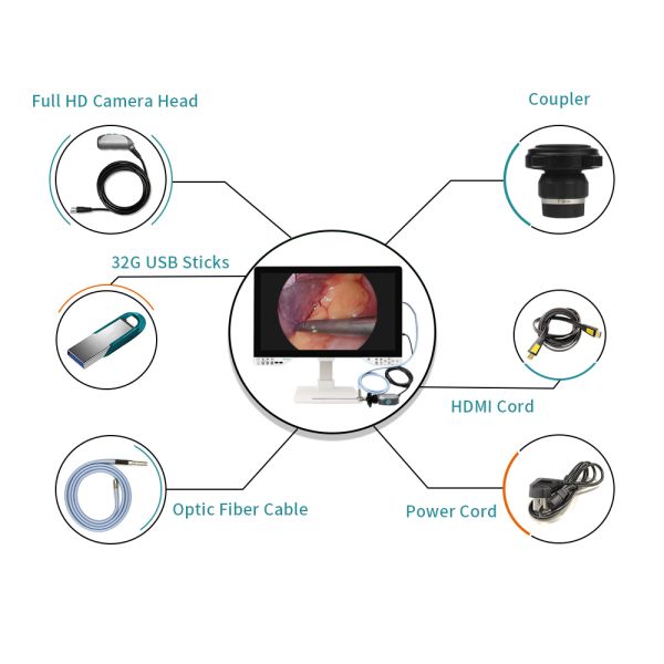TUYOU All-in-one 32'' Endoscopy Camera System For Laparoscopy Arthroscopy Urology Surgery