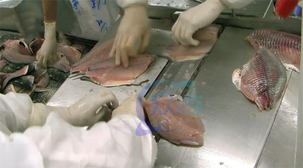 Fabrica venda direta Máquina de descascar de aço inoxidável de alta qualidade Adequado para todos os tipos de peixe Equipamento de produtos aquáticos
