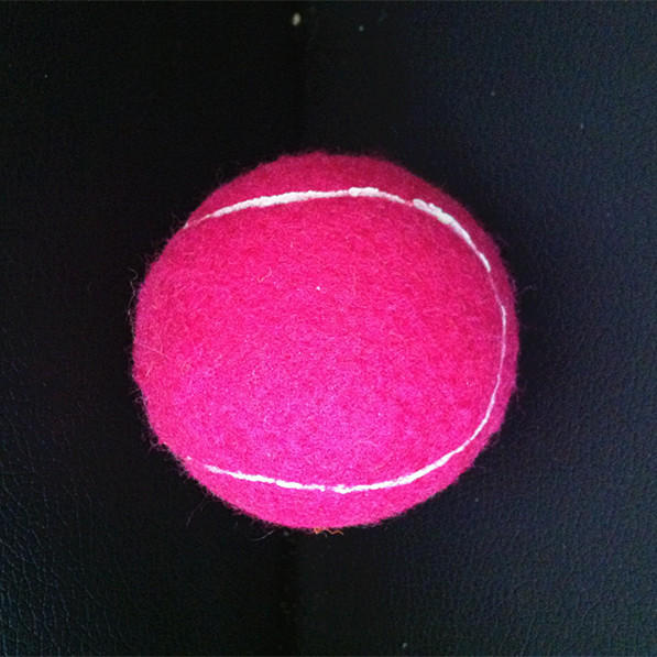 pet toy felt tennis balls