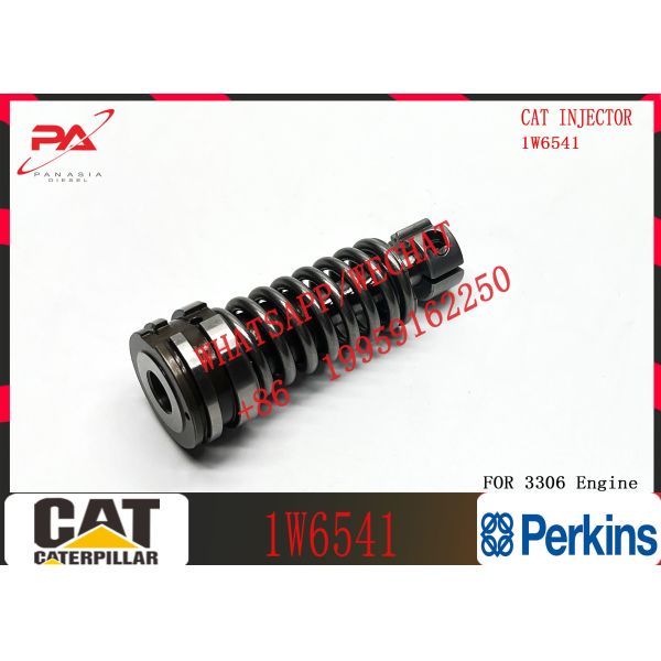 Fuel Injection Pump Plunger 1w6541 4p9830 9h5797 6n7527 Plunger Barrel 7W5929 Element for CAT 3304 3306