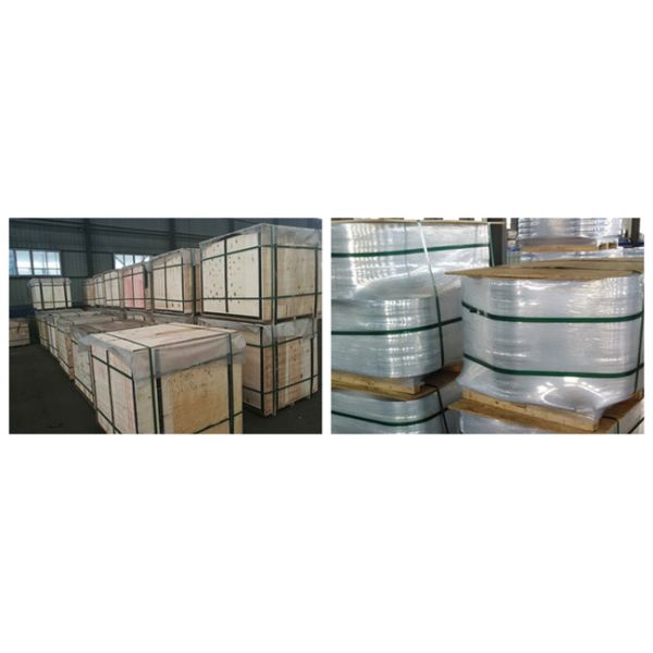 ASTM A182 Stainless Steel Flanges 304 Metal Pipe Fittings PL Flange