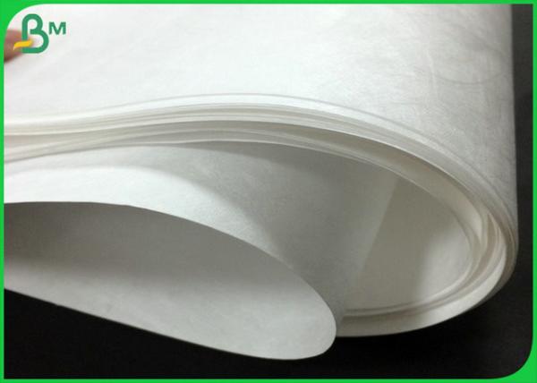 Revestido alise o papel impermeável de superfície da impressora de Tyvek para fazer sacos