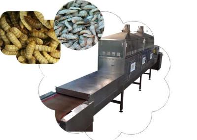 Stainless Steel Conveyor Belt Black Soldier Fly Larvae Microwave Drying Equipment