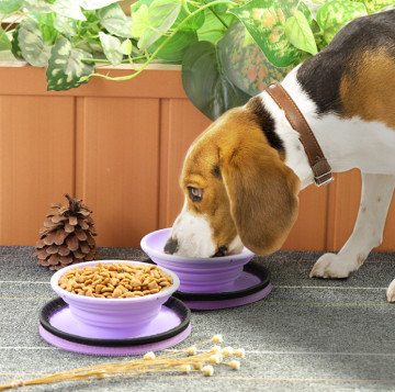 Шар собаки силикона складный установил блюдо чашки складной расширяемой воды корма для домашних животных питаясь для перемещения Outdoors