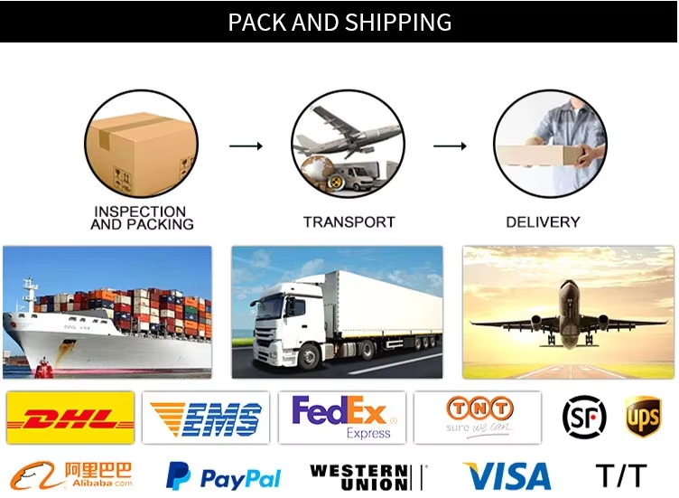 Long Sleeves Women Dresses 92cm Uniform Color Stylish Office Look Elegant Women'S Clothing