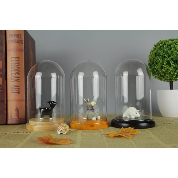 Oak Base D20 X H23cm Borosilicate Clear Glass Dome Cloche