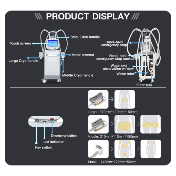 Function 2 Criolipolisis Machine Cryolipolysis for Safe and Non-Invasive Fat Removal