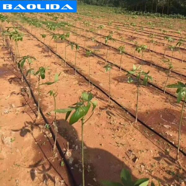 Plantas que crescem o sistema de irrigação da estufa do PVC da irrigação de gotejamento 1mm para a exploração agrícola
