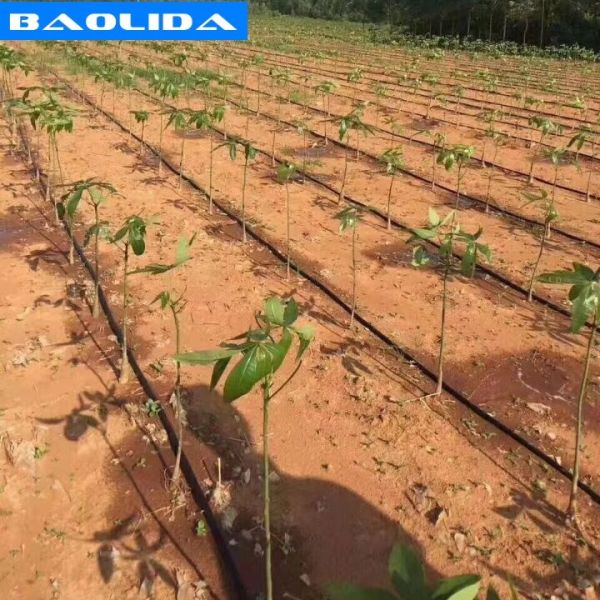 Automatic System Plants Growing Farming Rigger Greenhouse Drip Irrigation System