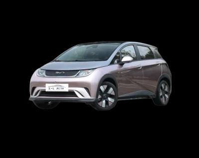 BYD Dolphin 2025 420KM Free Edition