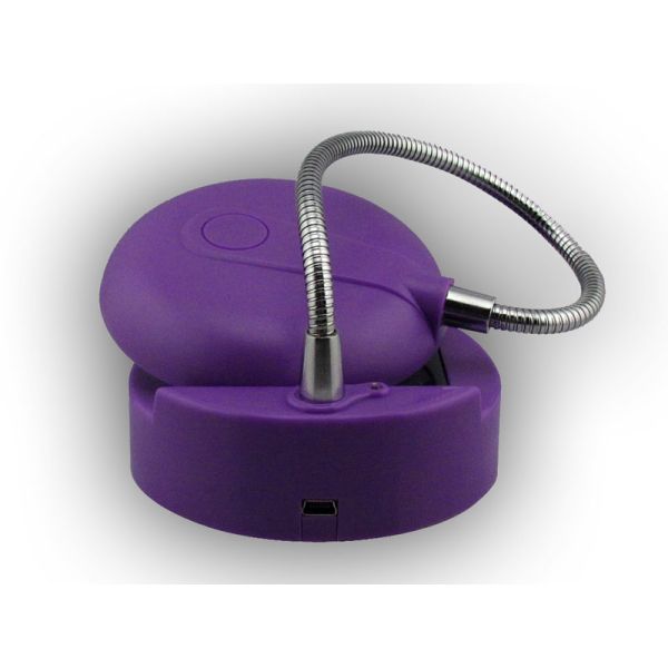 Long working life purple / green 8LED ABS solar powered table lamp with competitive price