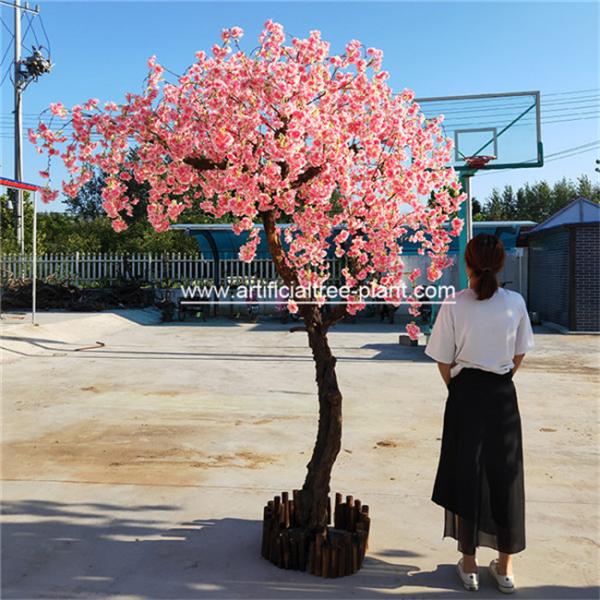 Anti - Aging Outdoor Artificial Cherry Blossom Tree / Cherry Blossom Plastic Flowers