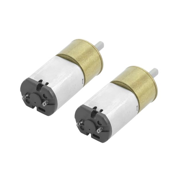 High Quality Mini Slow Speed Motor DC Spur Gear Motor Model FT-16RGM030 for Home Appliance