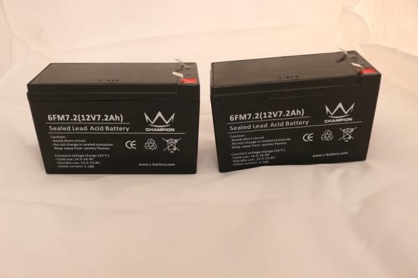 UPS Rechargeable Sealed Lead Acid Battery With F1/F2 Terminal