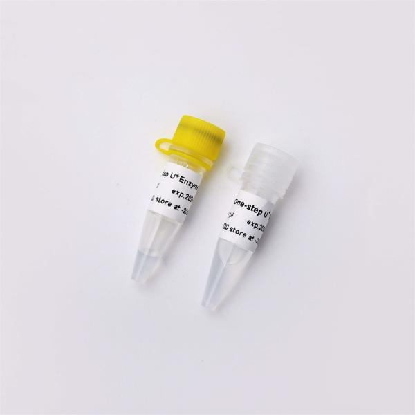#V5011 200 Rxn 20uL/Rxn High Specificity One Step RT QPCR Master Mix V3