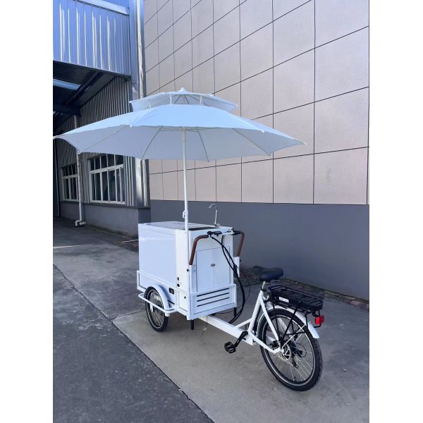 Ice Cream Cabinet Three Wheel Bike Restaurant Retail 200L Electric Ice Cream Bicycle Freezer